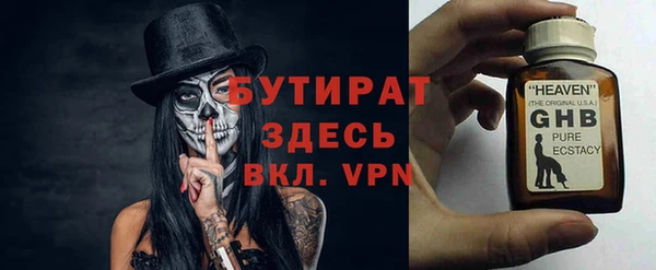 индика Богородск