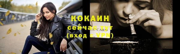 индика Богородск