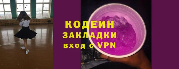 индика Богородск