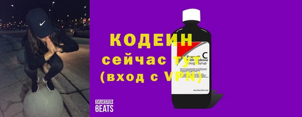 индика Богородск