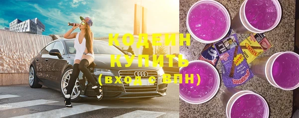 индика Богородск