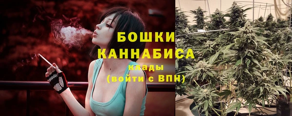 гидропоника Богданович