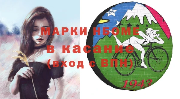индика Богородск