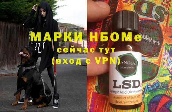 ПСИЛОЦИБИНОВЫЕ ГРИБЫ Богородицк