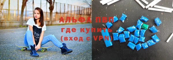 индика Богородск