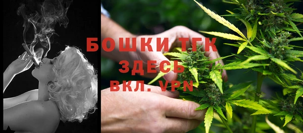 индика Богородск